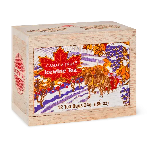 ICETSS12